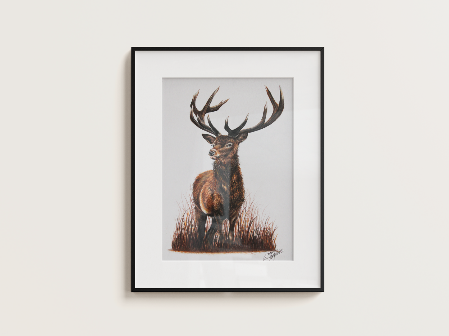 'Fiadhúrla na hÉireann' - Original Artwork
