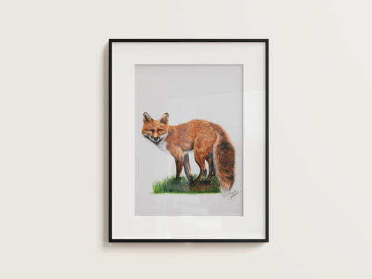 'Fiadhúrla na hÉireann' - Original Artwork
