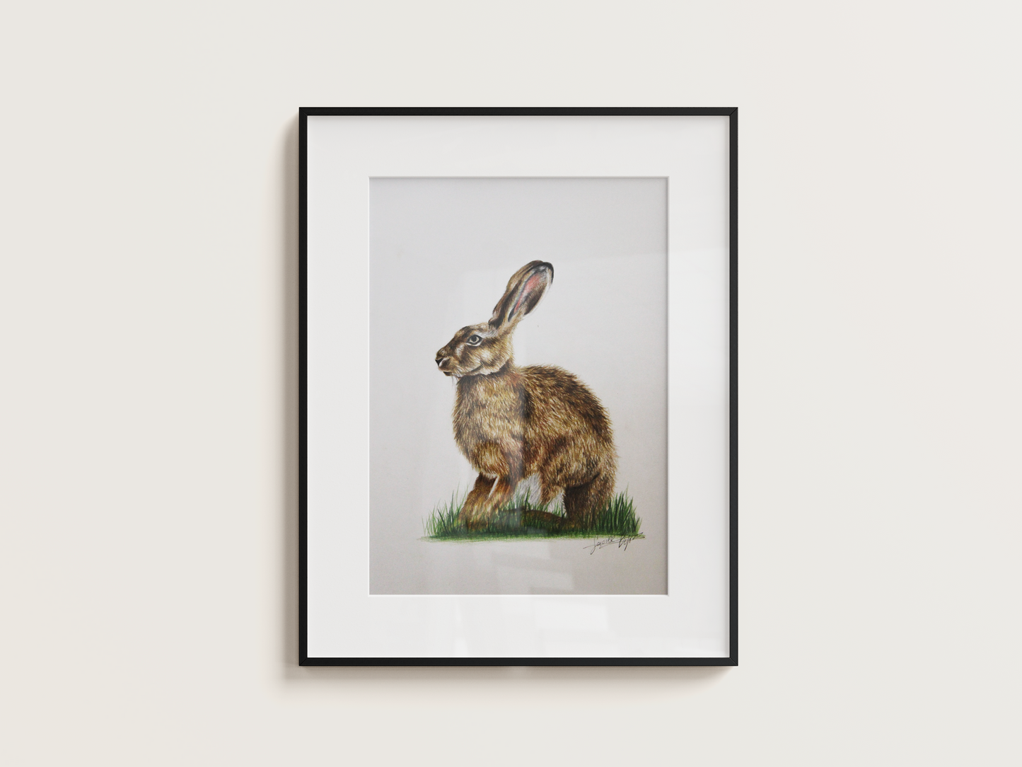 'Fiadhúrla na hÉireann' - Original Artwork