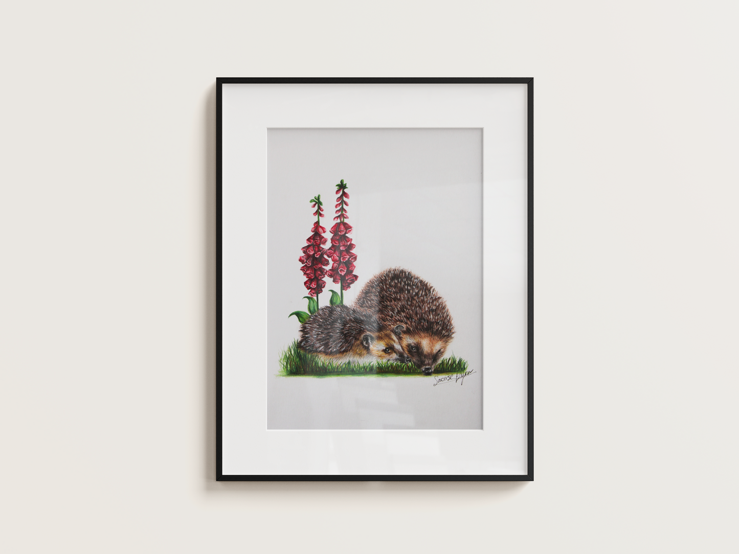 'Fiadhúrla na hÉireann' - Original Artwork