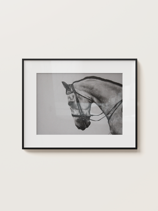 'Dapple Grey' - Original Artwork