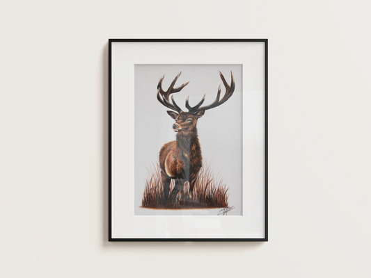 'Fiadhúrla na hÉireann' - Original Artwork